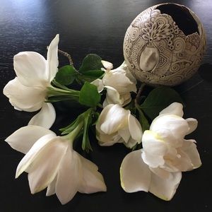 Meet your Posher, Kim marie